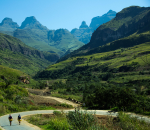 Alquiler de vehículos con conductor