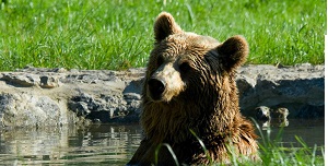 Excursiones privadas por Asturias con Asturcar